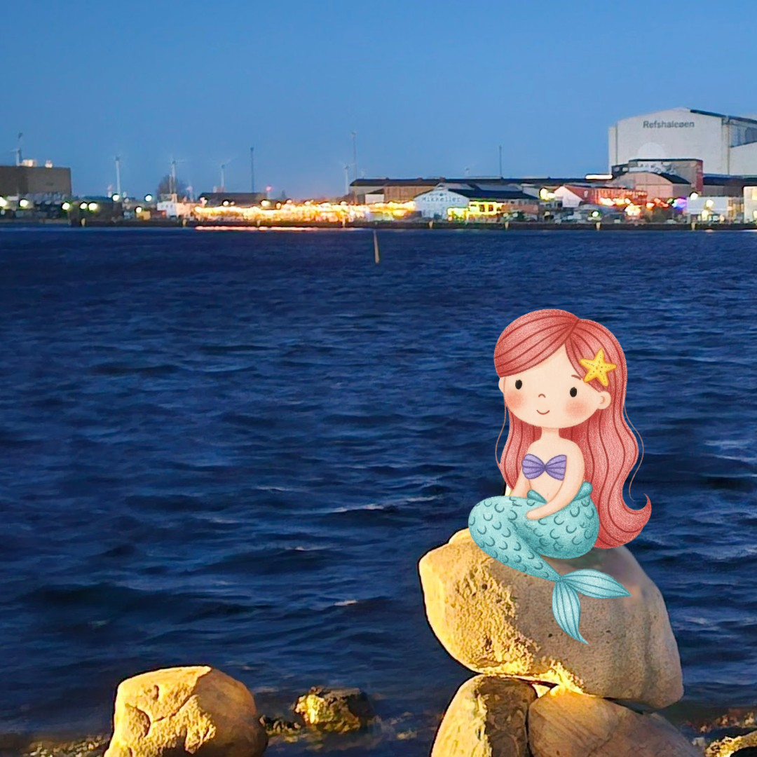 Night view from Langelinie, Copenhagen